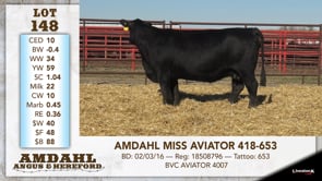 Lot #148 - AMDAHL MISS AVIATOR 418-653