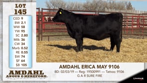 Lot #145 - AMDAHL ERICA MAY 9106