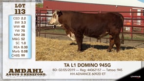 Lot #113 - TA L1 DOMINO 945G