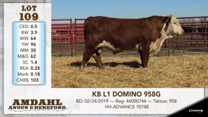 Lot #109 - KB L1 DOMINO 958G