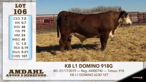 Lot #106 - KB L1 DOMINO 918G