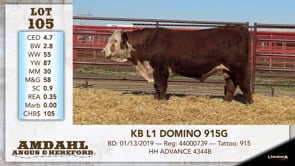 Lot #105 - KB L1 DOMINO 915G