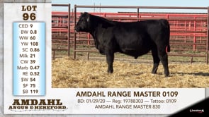 Lot #96 - AMDAHL RANGE MASTER 0109