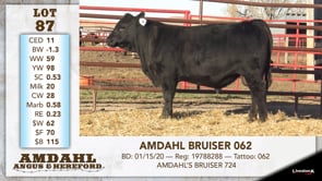 Lot #87 - AMDAHL BRUISER 062