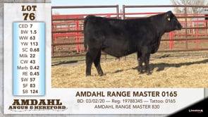 Lot #76 - AMDAHL RANGE MASTER 0165