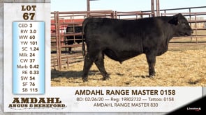 Lot #67 - AMDAHL RANGE MASTER 0158