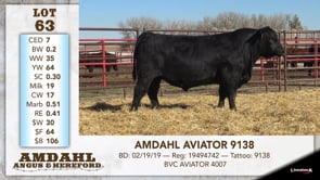 Lot #63 - AMDAHL AVIATOR 9138