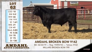 Lot #62 - AMDAHL BROKEN BOW 9142