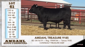 Lot #61 - AMDAHL TREASURE 9185