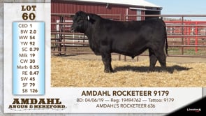 Lot #60 - AMDAHL ROCKETEER 9179