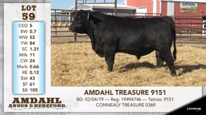Lot #59 - AMDAHL TREASURE 9151