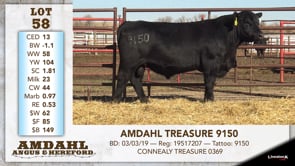 Lot #58 - AMDHAL TREASURE 9150