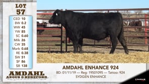 Lot #57 - AMDAHL ENHANCE 924