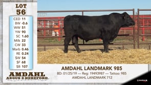 Lot #56 - AMDAHL LANDMARK 985