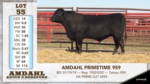 Lot #55 - AMDAHL PRIMETIME 959