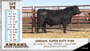 Lot #54 - AMDAHL SUPER DUTY 9189