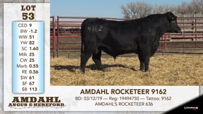 Lot #53 - AMDAHL ROCKETEER 9162