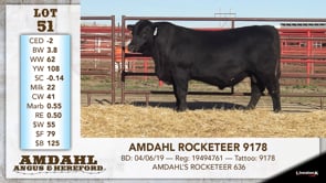 Lot #51 - AMDAHL ROCKETEER 9178