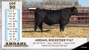 Lot #50 - AMDAHL ROCKETEER 9167