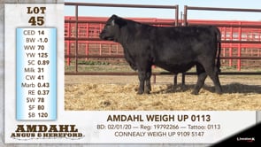 Lot #45 - AMDAHL WEIGH UP 0113
