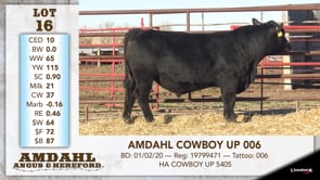 Lot #16 - AMDAHL COWBOY 006