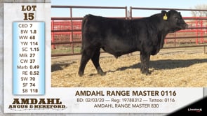 Lot #15 - AMDAHL RANGE MASTER 0116