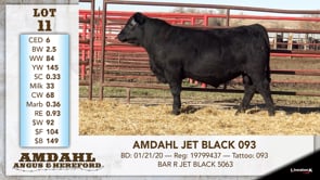 Lot #11 - AMDAHL JET BLACK 093