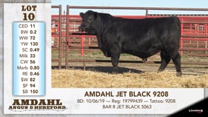 Lot #10 - AMDAHL JET BLACK 9208