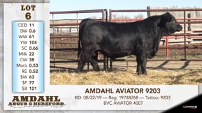 Lot #6 - AMDAHL AVIATOR 9203