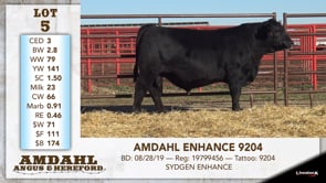 Lot #5 - AMDAHL ENHANCE 9204