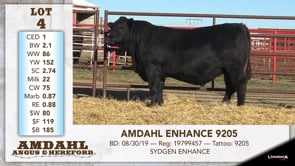 Lot #4 - AMDAHL ENHANCE 9205