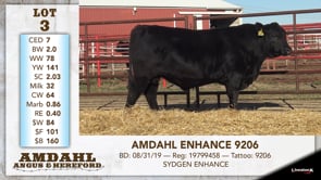 Lot #3 - AMDAHL ENHANCE 9206