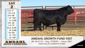 Lot #2 - AMDAHL GROWTH FUND 9207