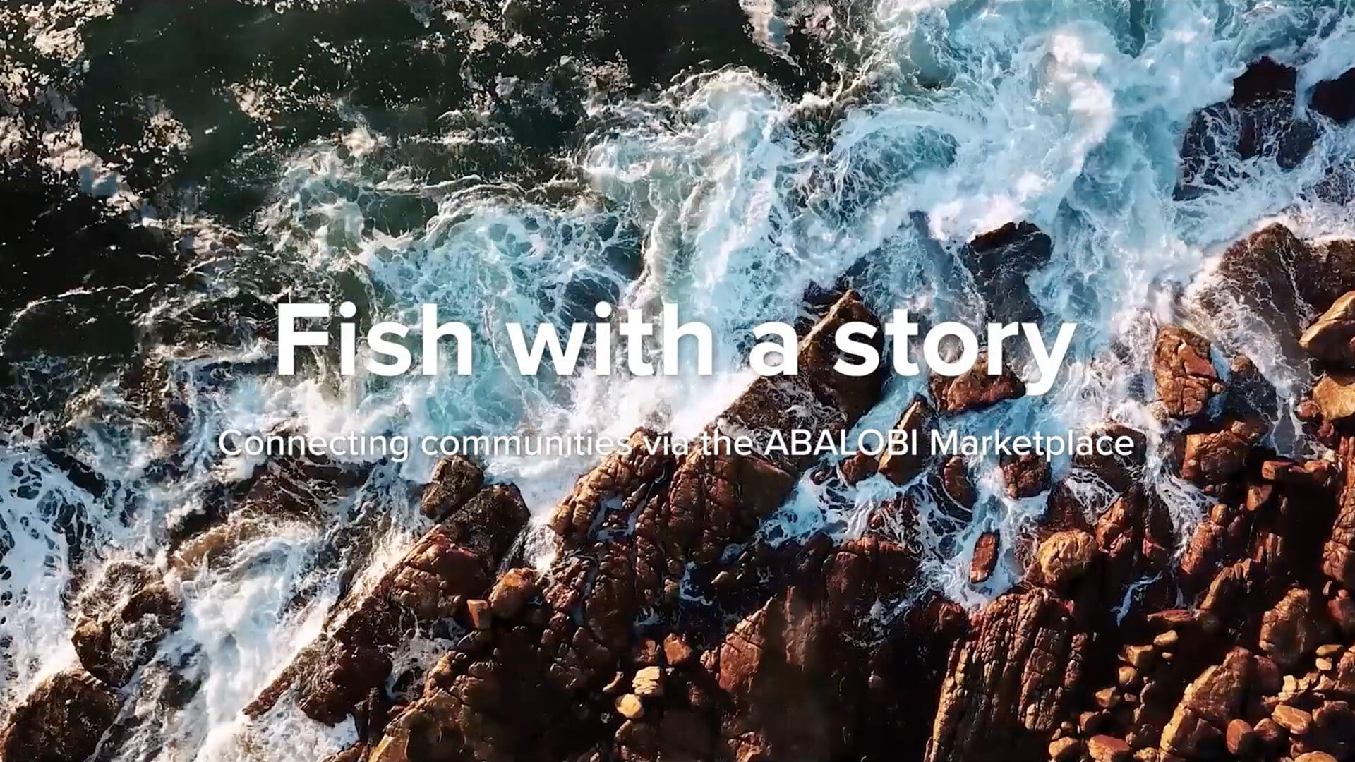 Fish with a story | Connecting communities via the ABALOBI Marketplace