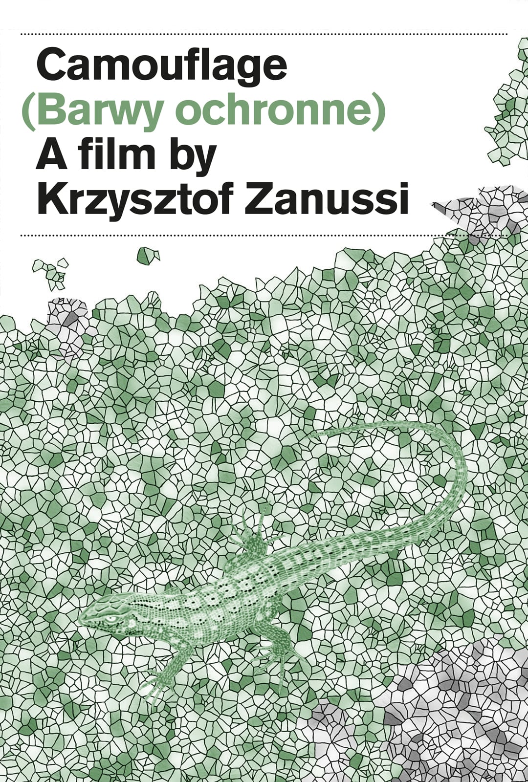 Watch CAMOUFLAGE A film by Krzysztof Zanussi Online Vimeo On Demand on Vimeo