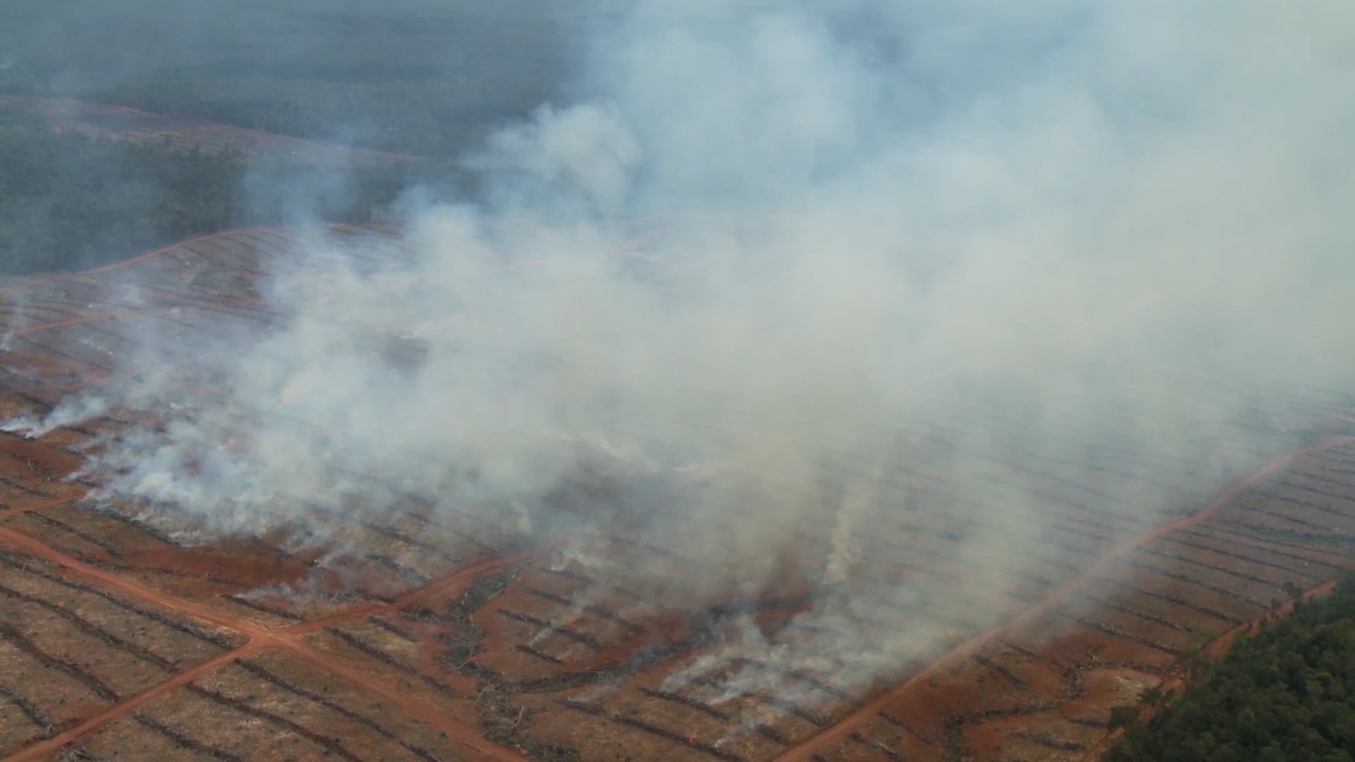 Play Video: Intentional Fires in Papua