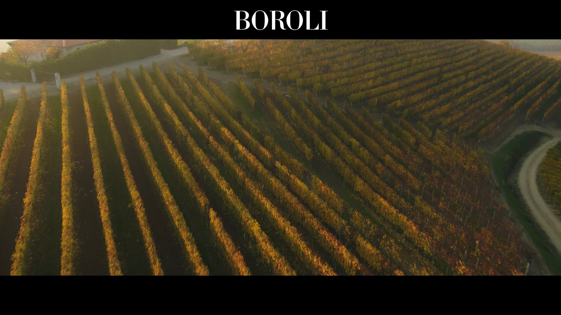 Boroli | Tenuta La Brunella 