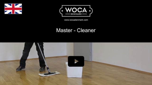 Master Cleaner (EN)