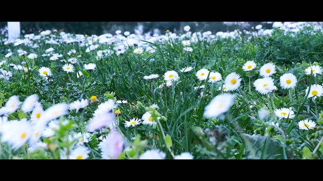 A casa di Pier   Castellana Grotte