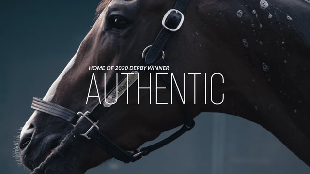 Home of 2020 Derby Sire INTO MISCHIEF & Kentucky Derby winner AUTHENTIC