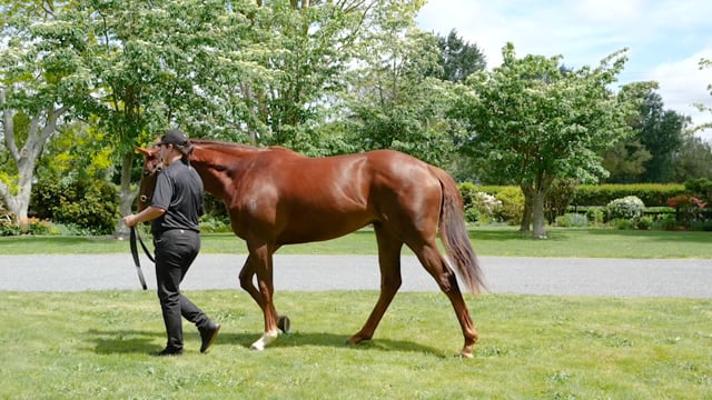 Lot 39