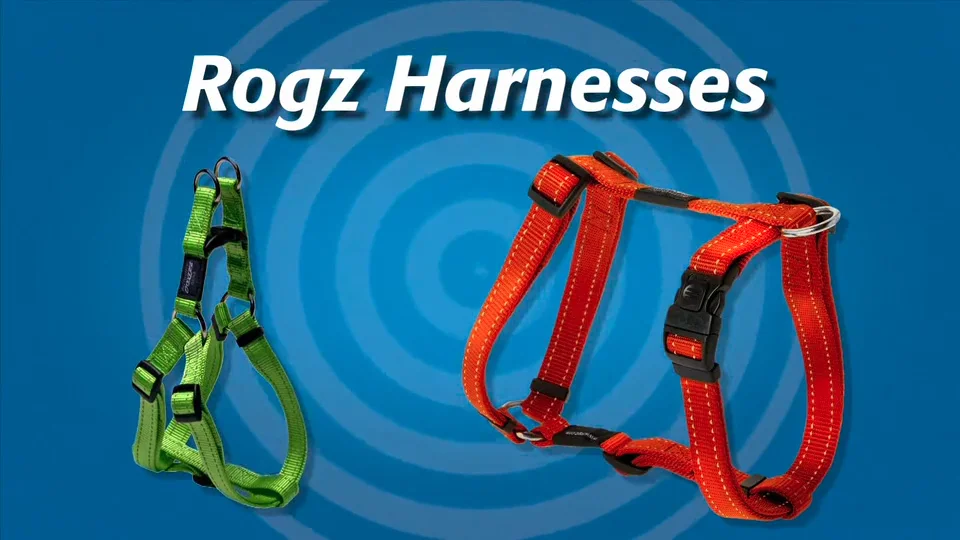 Rogz dog harness shop how to put on