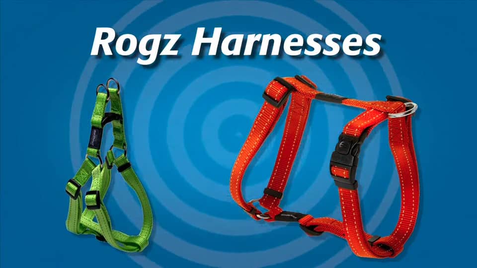 How to Fit a Rogz Harness on Vimeo