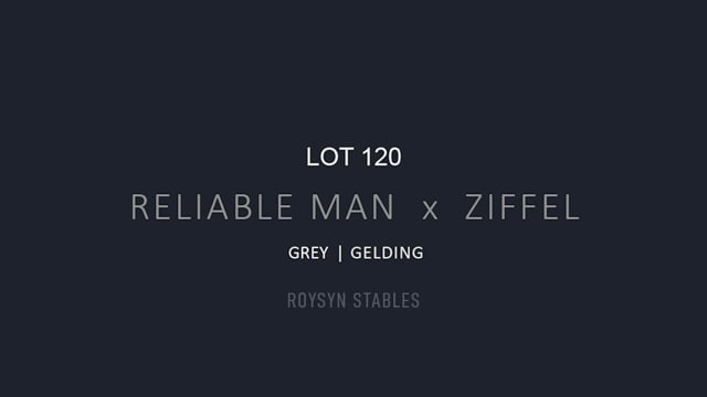 Lot 120