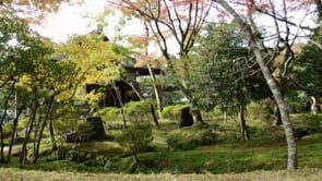 JAPON, LA FOLIE DES COURSES