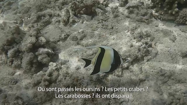 Qu’est-il arrivé au lagon ? - Vidéo ePOP