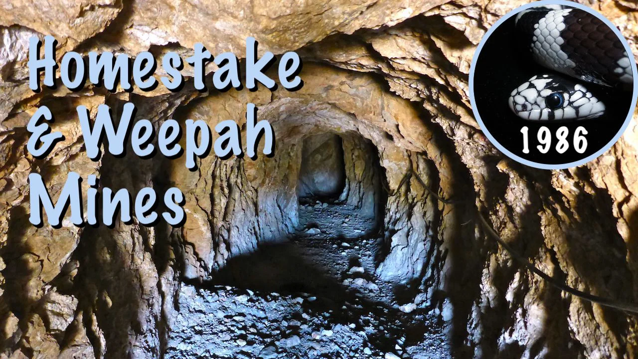 Weepah & Homestake Mine Exploration – Kingsnake's Home Den