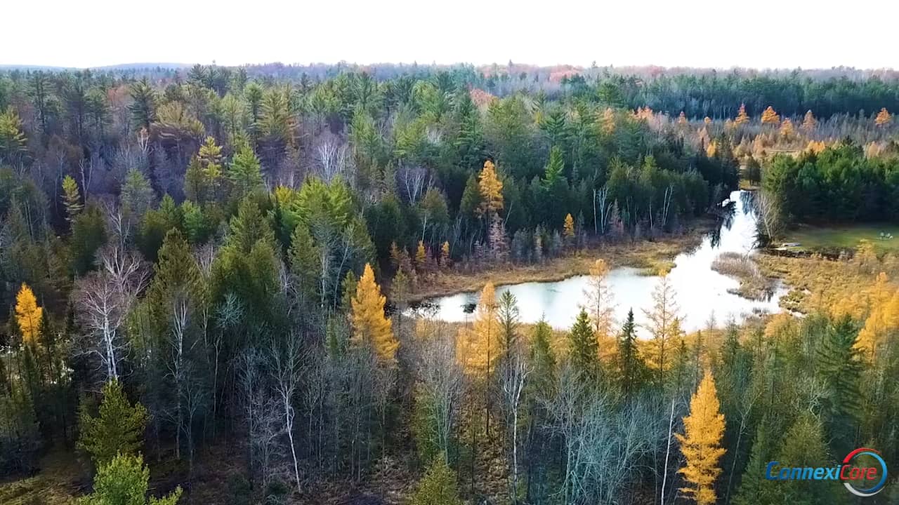 Turner Lands Michigan Properties Overview on Vimeo