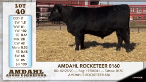 Lot #40 - AMDAHL ROCKETEER 0160