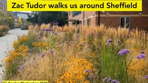 Zac Tudor walks us around Sheffield